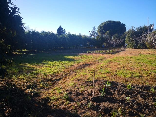 Grunde uden byggetilladelser til salg i Barbate - € 164.000 (Ref: 8083114)