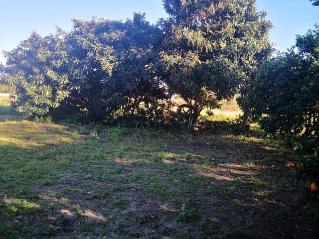 Grunde uden byggetilladelser til salg i Barbate - € 164.000 (Ref: 8083114)