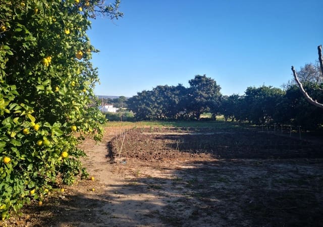 Grunde uden byggetilladelser til salg i Barbate - € 150.000 (Ref: 8083114)