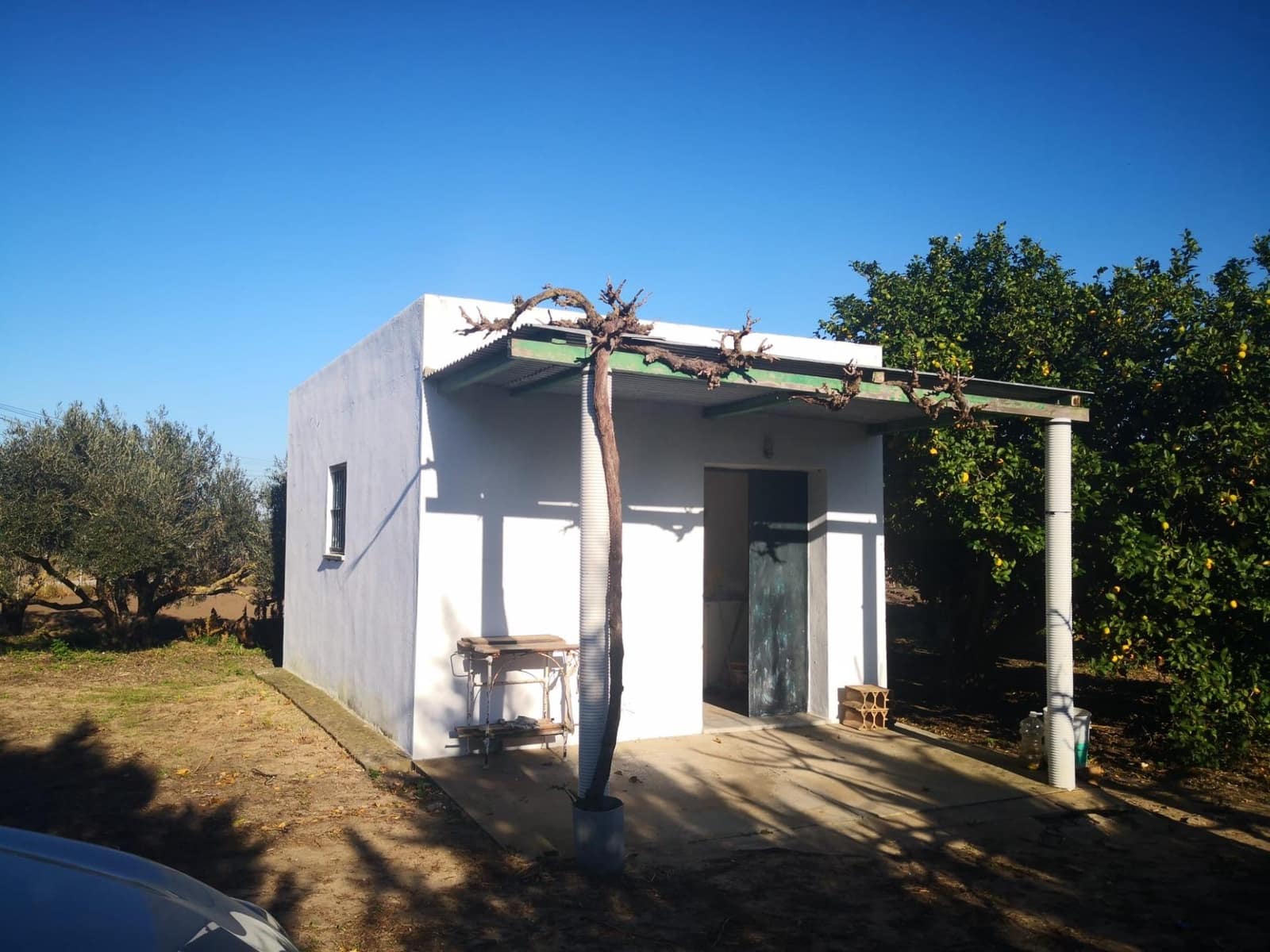 Teren niezagospodarowany na sprzedaż w Barbate - 150 000 € (Ref: 8083114)