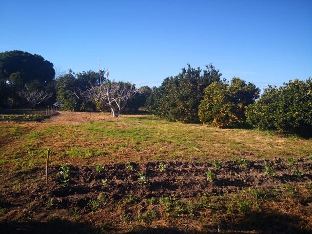 Grunde uden byggetilladelser til salg i Barbate - € 150.000 (Ref: 8083114)