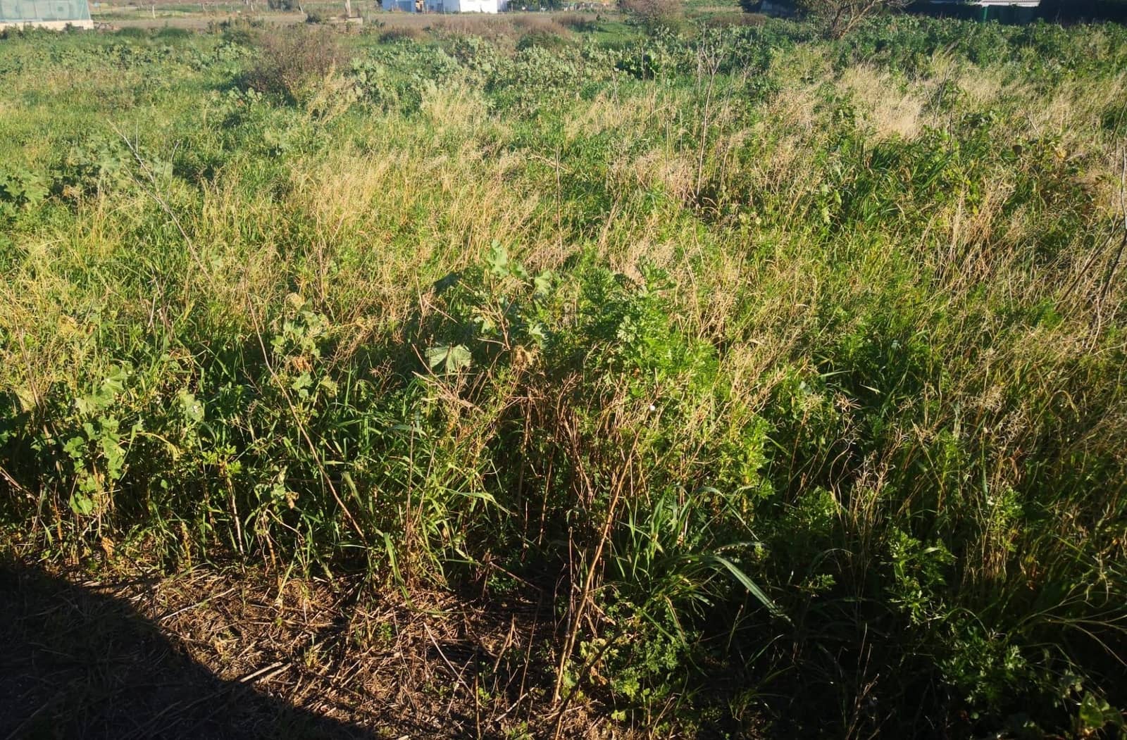 Teren niezagospodarowany na sprzedaż w Barbate - 150 000 € (Ref: 8083114)