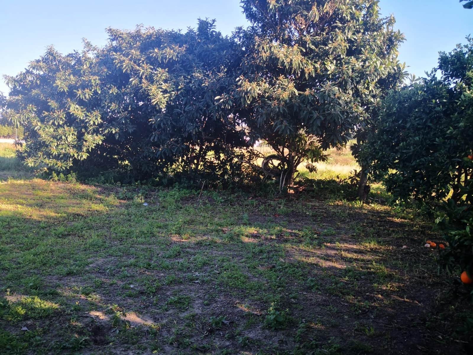 Teren niezagospodarowany na sprzedaż w Barbate - 150 000 € (Ref: 8083114)