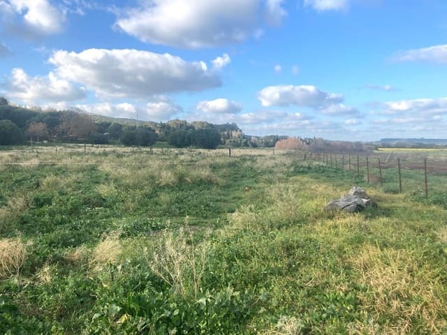 Mark till salu i Vejer de la Frontera - 70 000 € (Ref: 8142746)