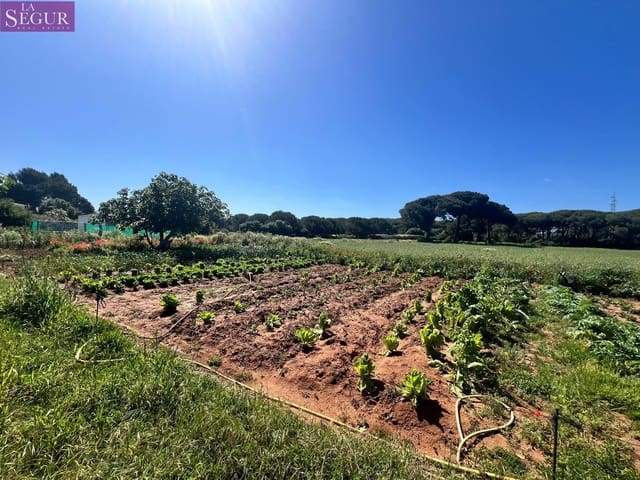 Bouwgrond te koop in Vejer de la Frontera - € 350.000 (Ref: 8268349)