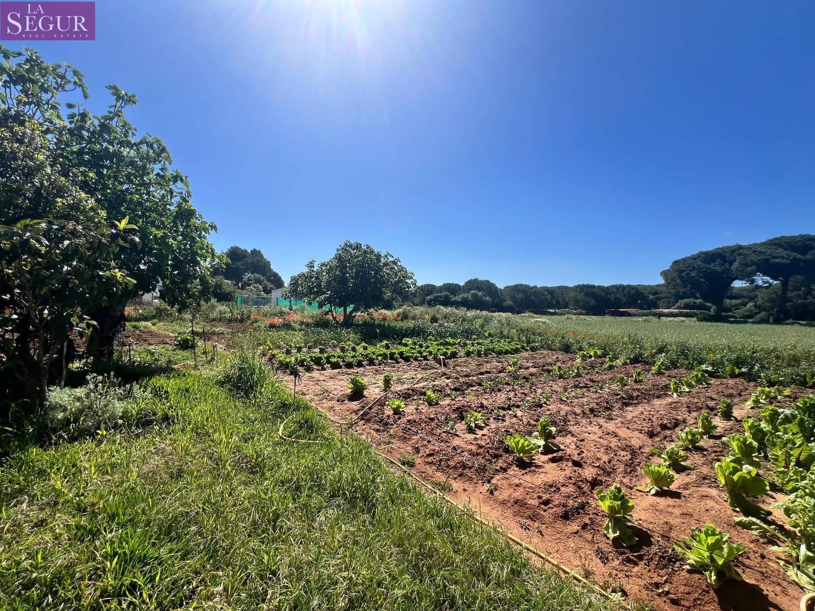 Byggetomt til salgs i Vejer de la Frontera - € 350 000 (Ref: 8268349)