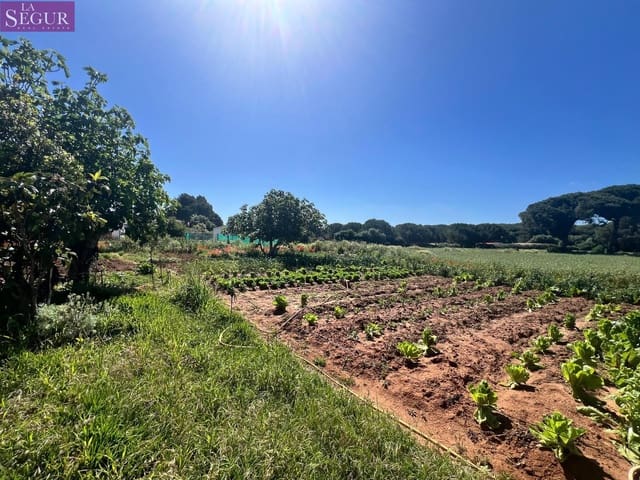 Bouwgrond te koop in Vejer de la Frontera - € 350.000 (Ref: 8268349)