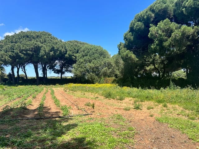 Finca/Landehus til salg i Vejer de la Frontera - € 240.000 (Ref: 8333955)