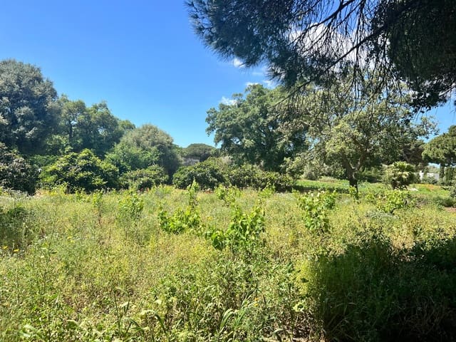 Finca/Landehus til salg i Vejer de la Frontera - € 240.000 (Ref: 8333955)