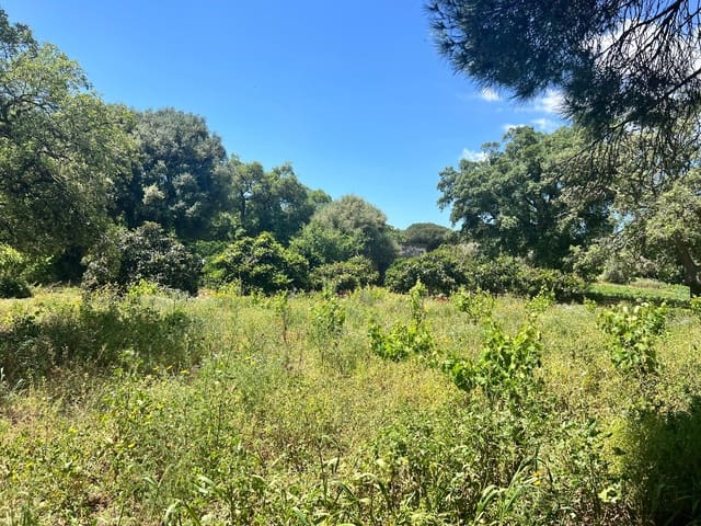 Finca/Landehus til salg i Vejer de la Frontera - € 240.000 (Ref: 8333955)