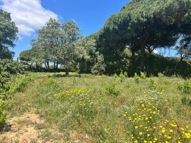 Finca/Landehus til salg i Vejer de la Frontera - € 240.000 (Ref: 8333955)