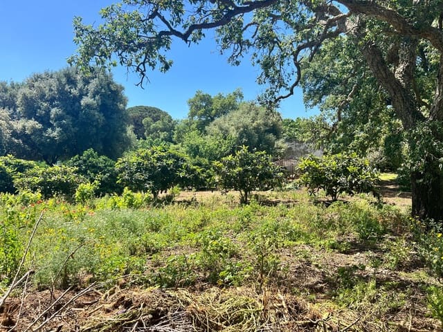 Finca/Landehus til salg i Vejer de la Frontera - € 240.000 (Ref: 8333955)