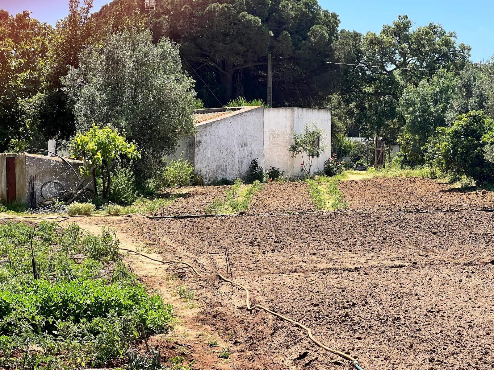 Finca/Landehus til salg i Vejer de la Frontera - € 240.000 (Ref: 8333955)