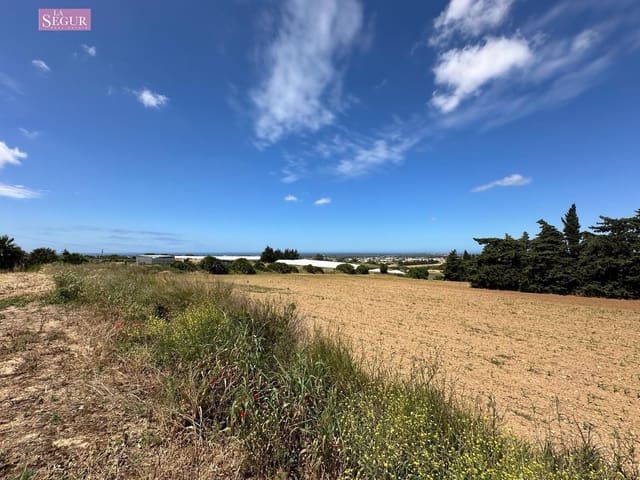 Ubebygd land til salgs i Conil de la Frontera - € 580 000 (Ref: 8344804)