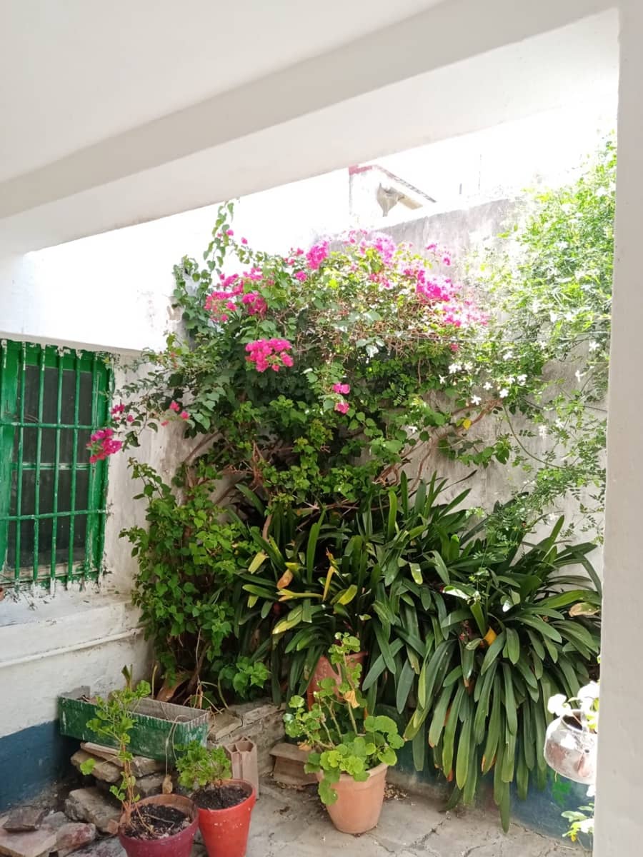 5 chambre Maison de Ville à vendre à Medina-Sidonia - 300 000 € (Ref: 8428957)