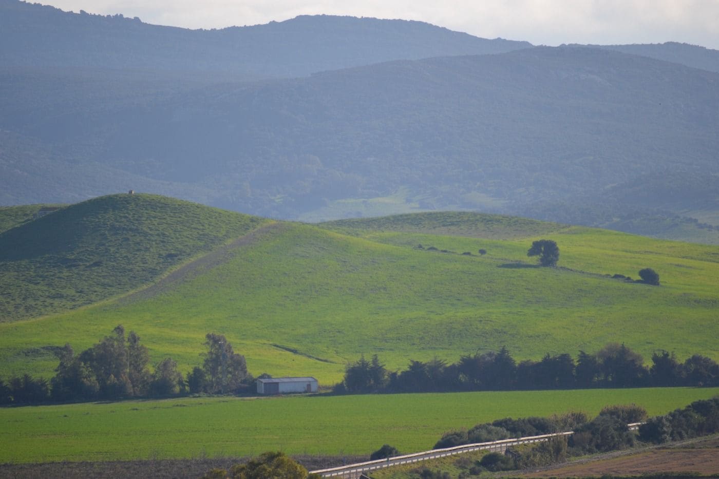 2 soveværelse Villa til salg i Benalup - € 110.000 (Ref: 8445835)