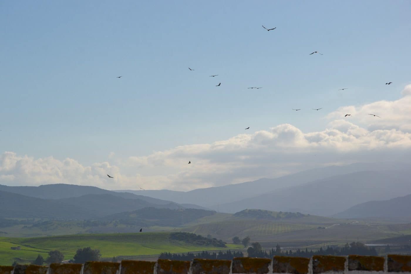 2 soveværelse Villa til salg i Benalup - € 110.000 (Ref: 8445835)