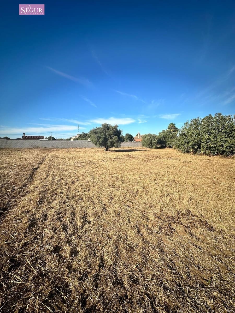 Grunde uden byggetilladelser til salg i Chiclana de la Frontera - € 150.000 (Ref: 8481998)