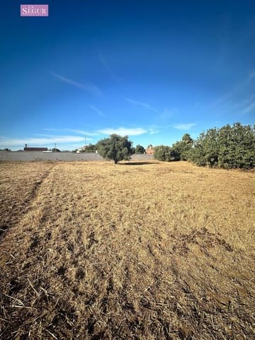 Ubebygd land til salgs i Chiclana de la Frontera - € 150 000 (Ref: 8481998)