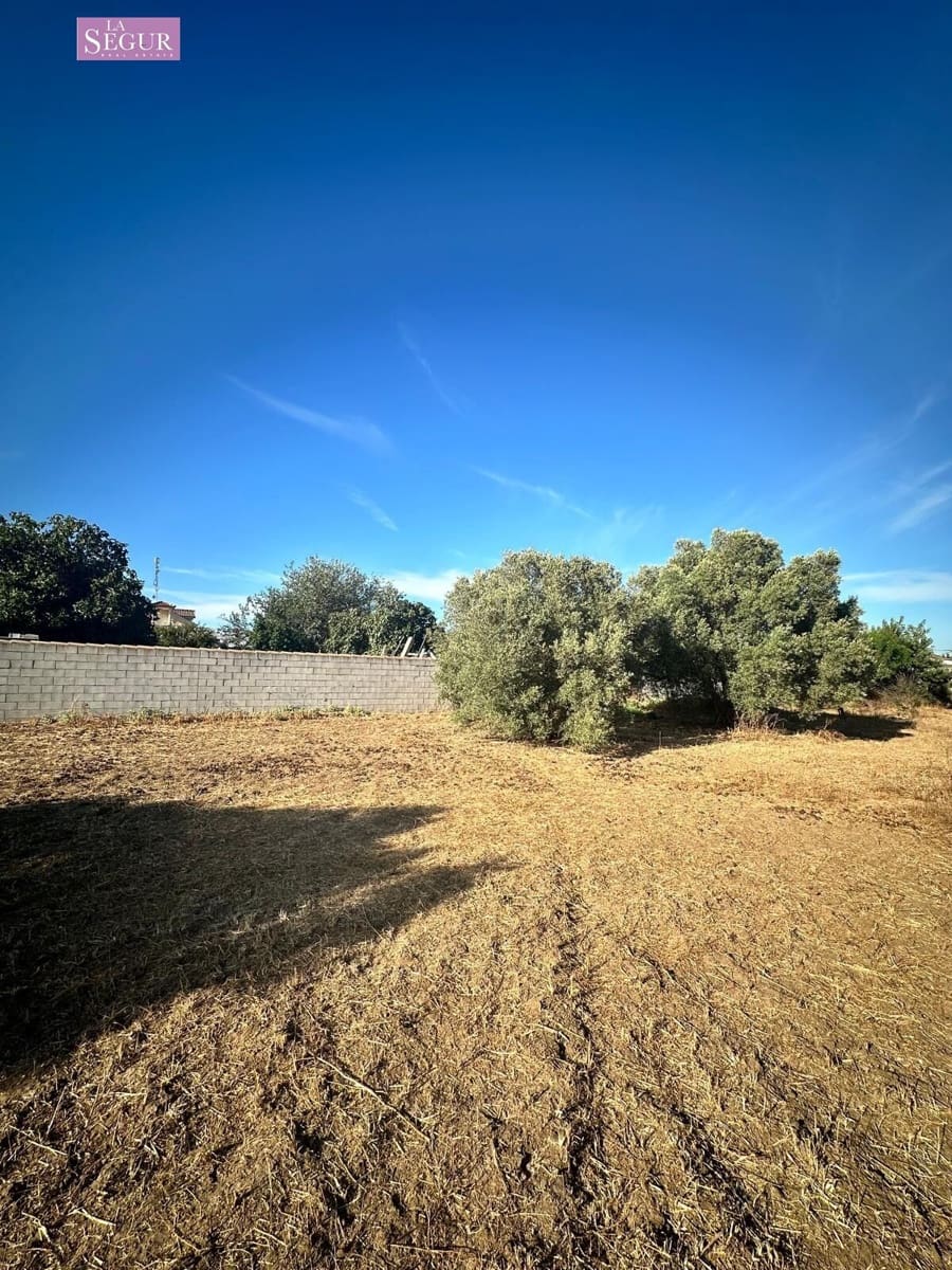 Grunde uden byggetilladelser til salg i Chiclana de la Frontera - € 150.000 (Ref: 8481998)
