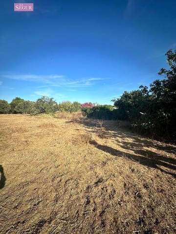 Ubebygd land til salgs i Chiclana de la Frontera - € 150 000 (Ref: 8481998)
