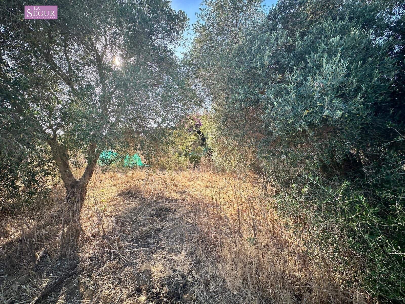 Grunde uden byggetilladelser til salg i Chiclana de la Frontera - € 150.000 (Ref: 8481998)