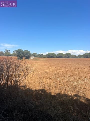 Byggetomt til salgs i Vejer de la Frontera - € 700 000 (Ref: 8554130)