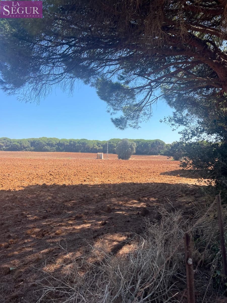 Byggetomt til salgs i Vejer de la Frontera - € 700 000 (Ref: 8554130)