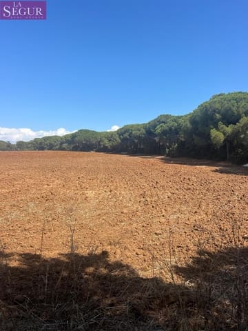 Byggetomt til salgs i Vejer de la Frontera - € 700 000 (Ref: 8554130)