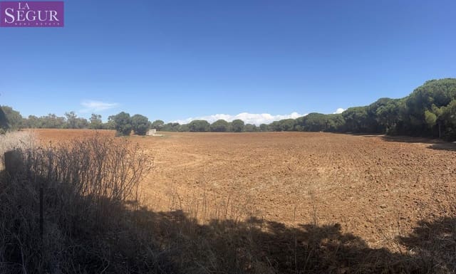 Byggetomt til salgs i Vejer de la Frontera - € 700 000 (Ref: 8554130)