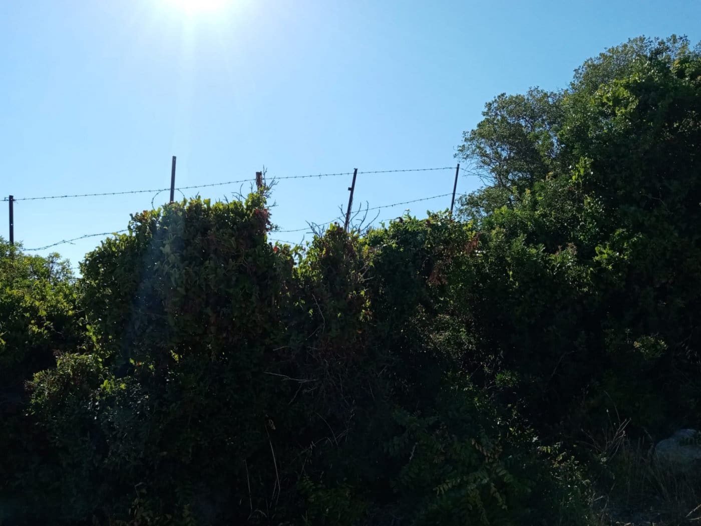 Grunde uden byggetilladelser til salg i Medina-Sidonia - € 189.000 (Ref: 8561397)