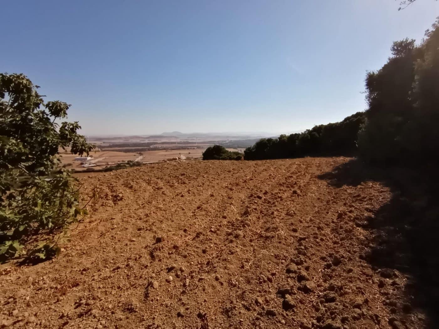 Grunde uden byggetilladelser til salg i Medina-Sidonia - € 189.000 (Ref: 8561397)