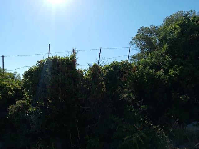 Grond te koop in Medina-Sidonia - € 189.000 (Ref: 8561397)