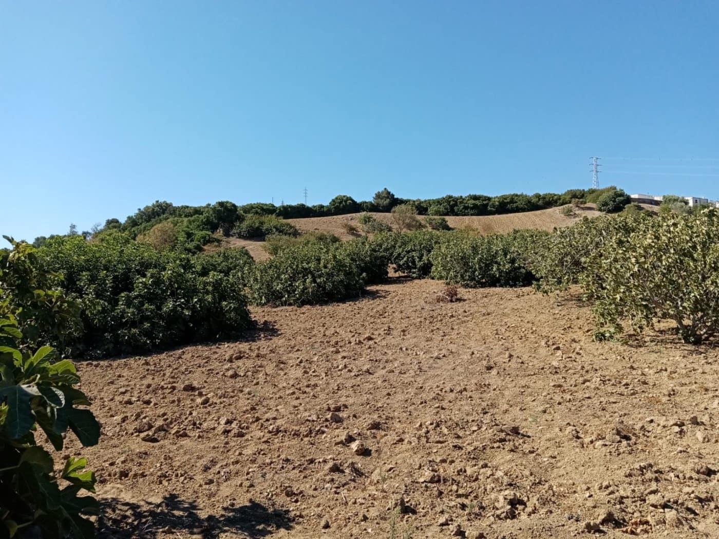 Grunde uden byggetilladelser til salg i Medina-Sidonia - € 189.000 (Ref: 8561397)