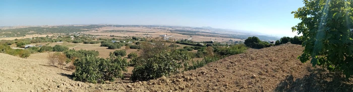 Grunde uden byggetilladelser til salg i Medina-Sidonia - € 189.000 (Ref: 8561397)