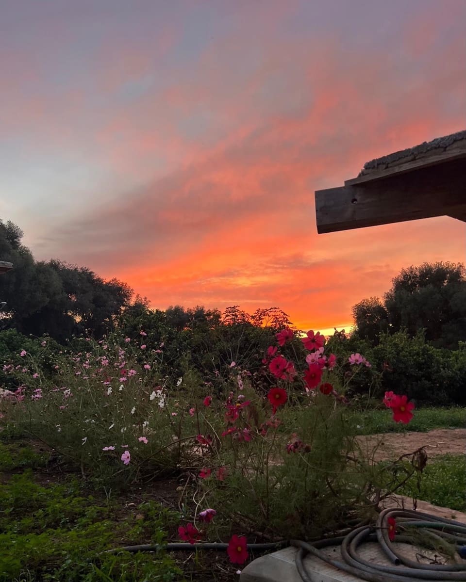 3 soveværelse Finca/Landehus til salg i Vejer de la Frontera - € 1.500.000 (Ref: 8682471)