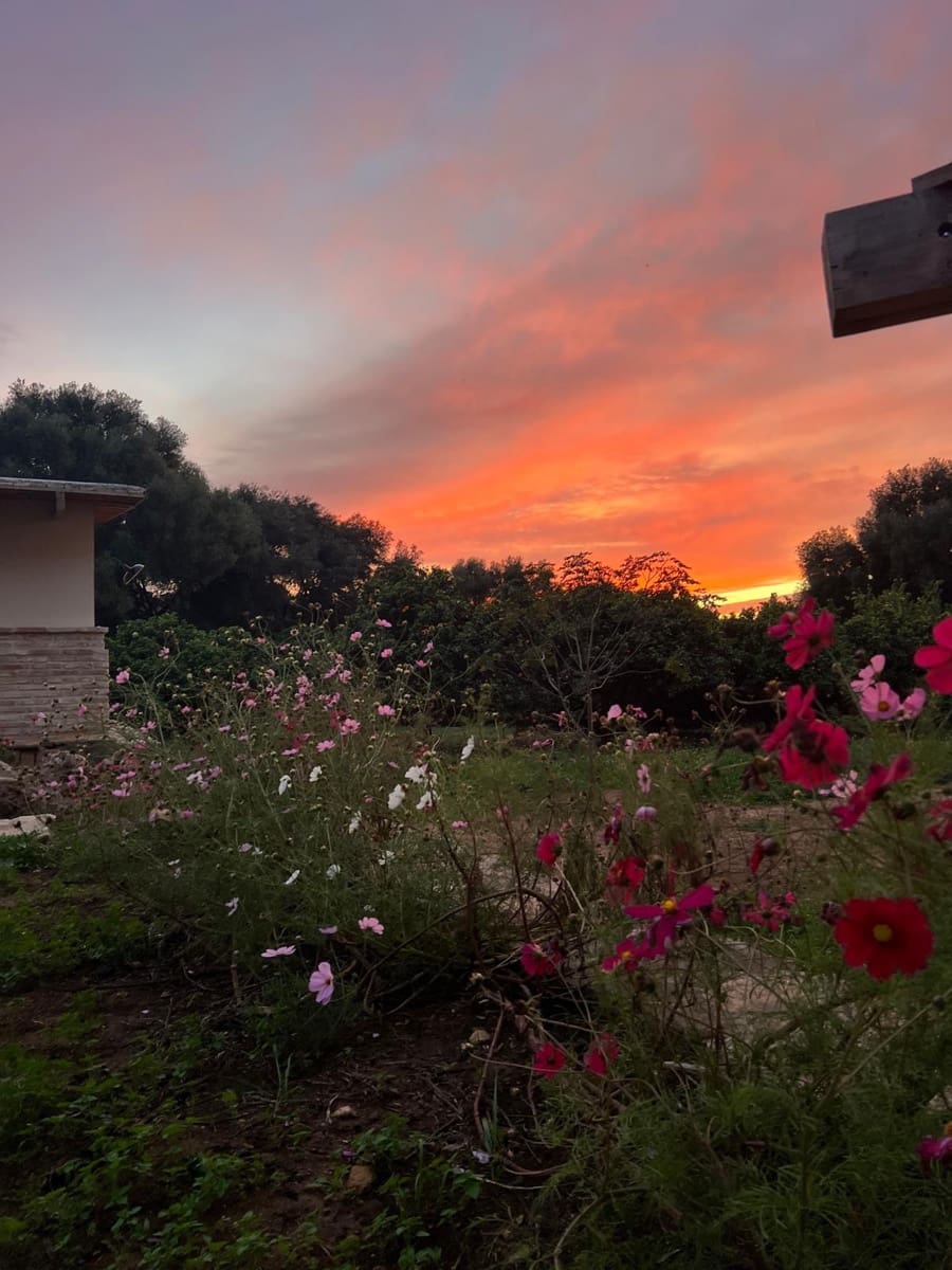 3 soveværelse Finca/Landehus til salg i Vejer de la Frontera - € 1.500.000 (Ref: 8682471)