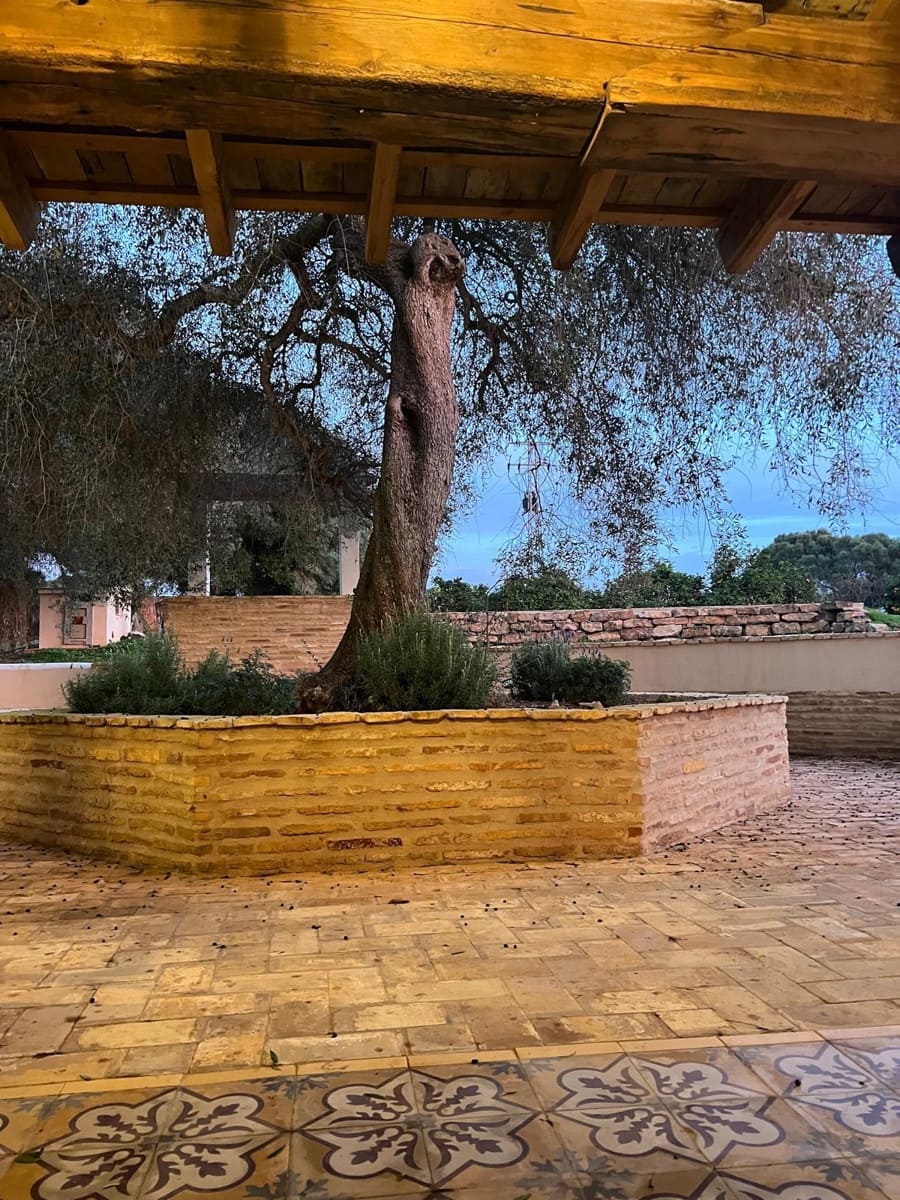 3 soveværelse Finca/Landehus til salg i Vejer de la Frontera - € 1.500.000 (Ref: 8682471)