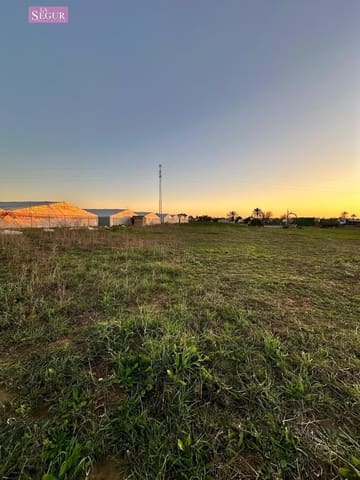 Ubebygd land til salgs i Conil de la Frontera - € 75 000 (Ref: 8698188)