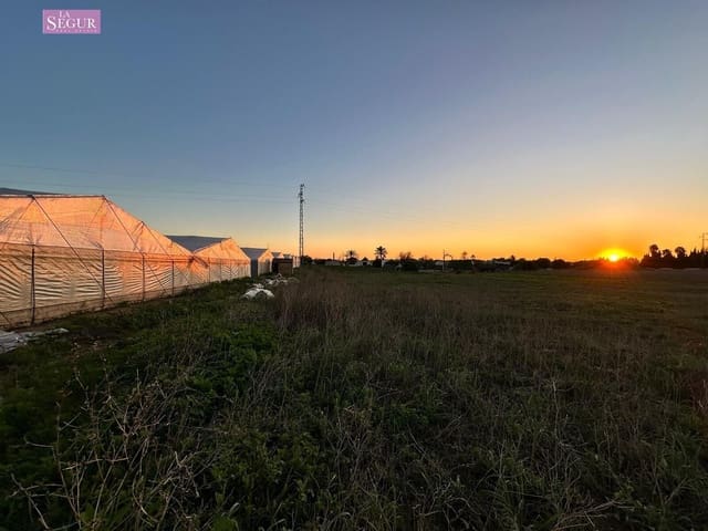 Ubebygd land til salgs i Conil de la Frontera - € 75 000 (Ref: 8698188)