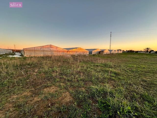 Ubebygd land til salgs i Conil de la Frontera - € 75 000 (Ref: 8698188)