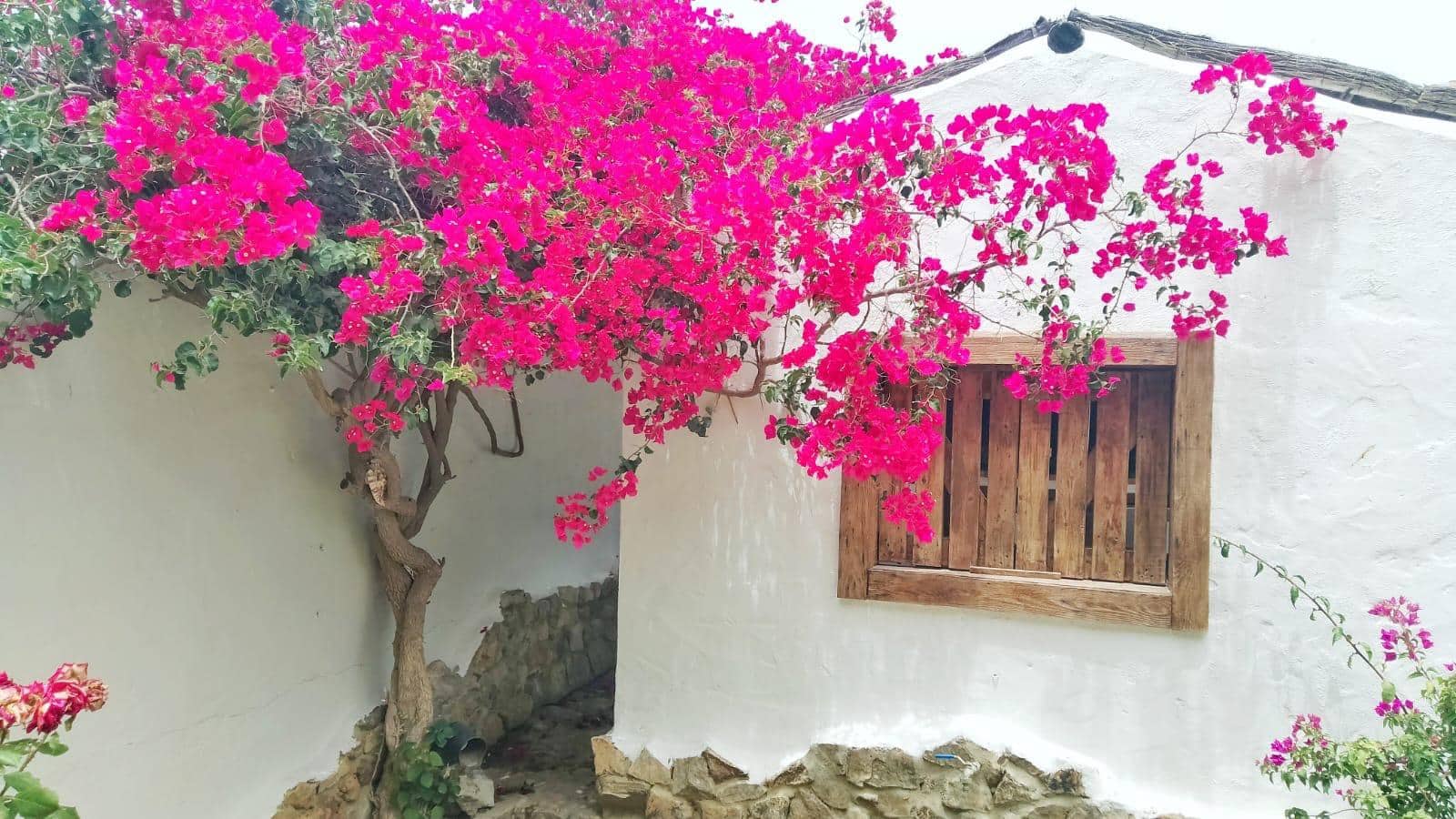 4 soverom Villa til salgs i Zahora - € 495 000 (Ref: 8712735)