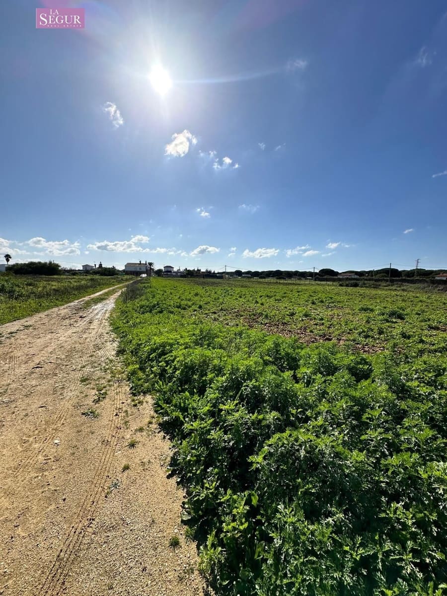 Undeveloped Land for sale in Conil de la Frontera - € 190,000 (Ref: 8802243)