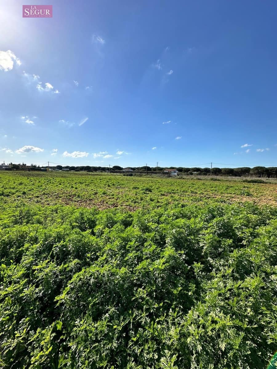 Undeveloped Land for sale in Conil de la Frontera - € 190,000 (Ref: 8802243)