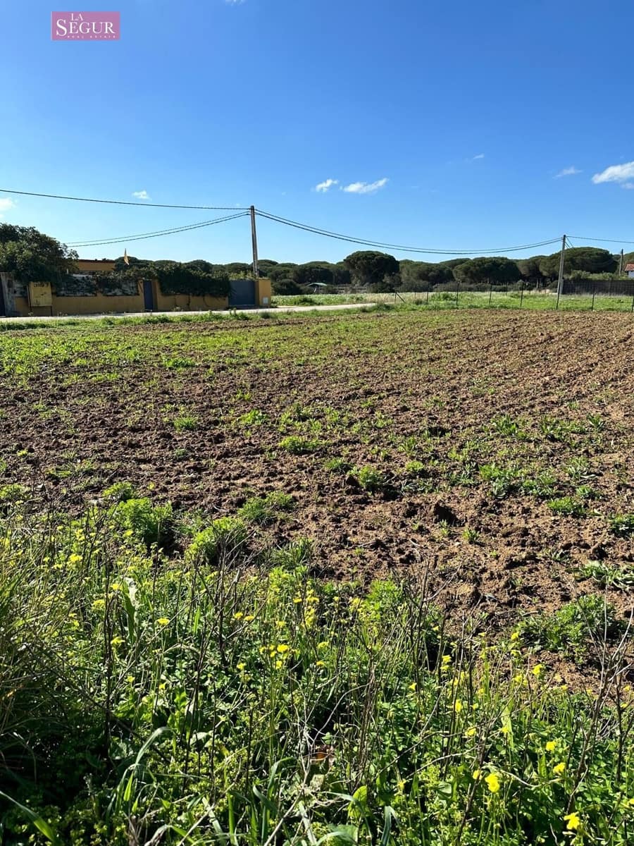 Undeveloped Land for sale in Conil de la Frontera - € 190,000 (Ref: 8802243)