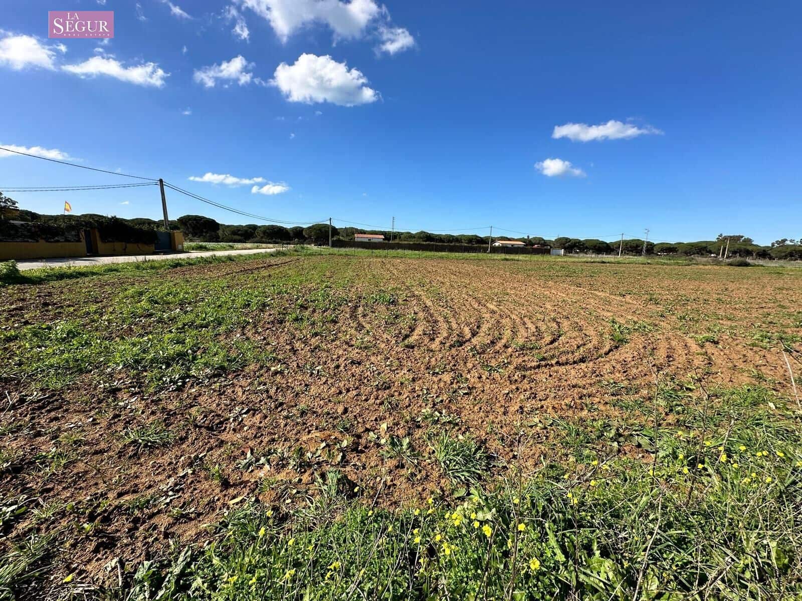 Undeveloped Land for sale in Conil de la Frontera - € 190,000 (Ref: 8802243)