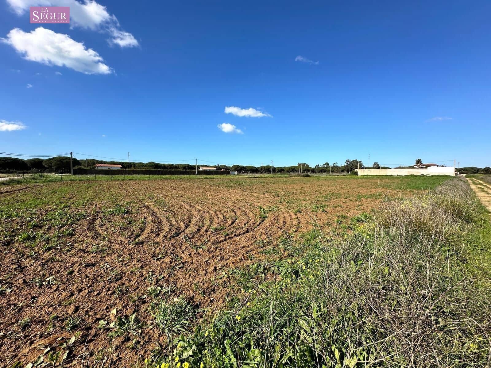 Undeveloped Land for sale in Conil de la Frontera - € 190,000 (Ref: 8802243)