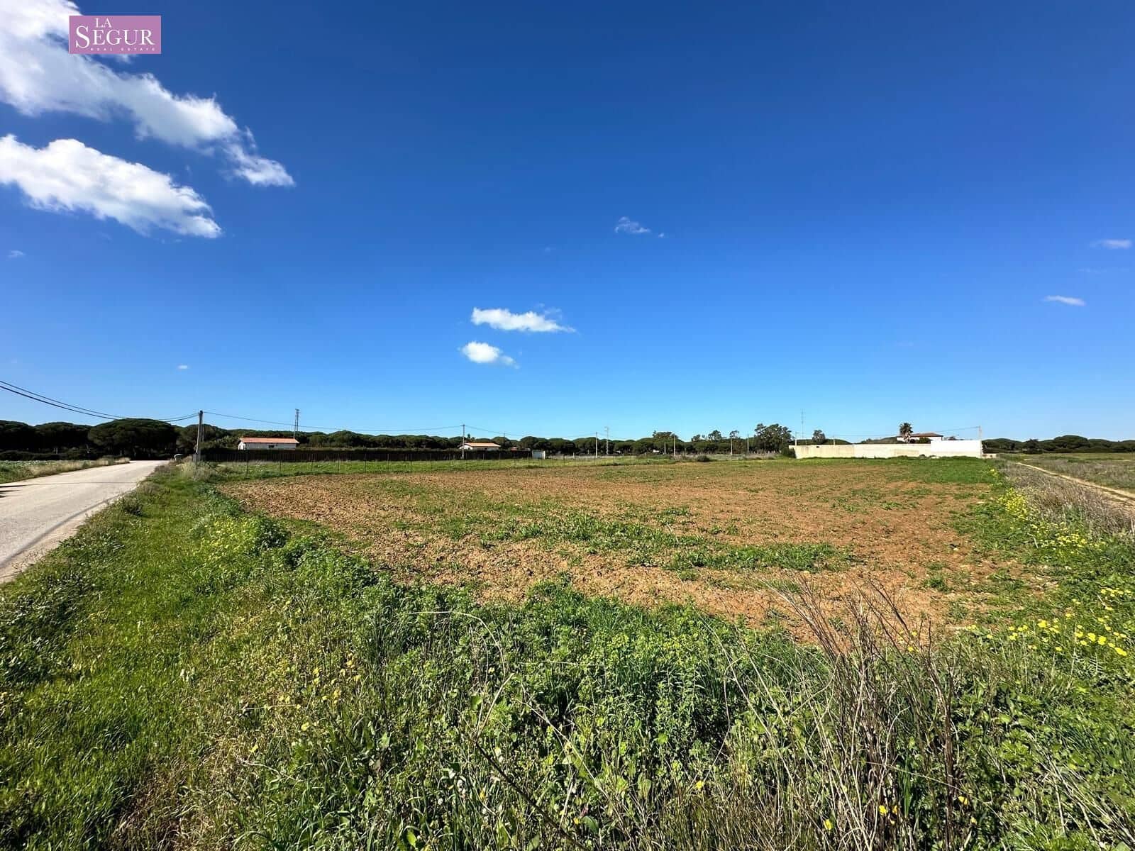 Undeveloped Land for sale in Conil de la Frontera - € 190,000 (Ref: 8802243)