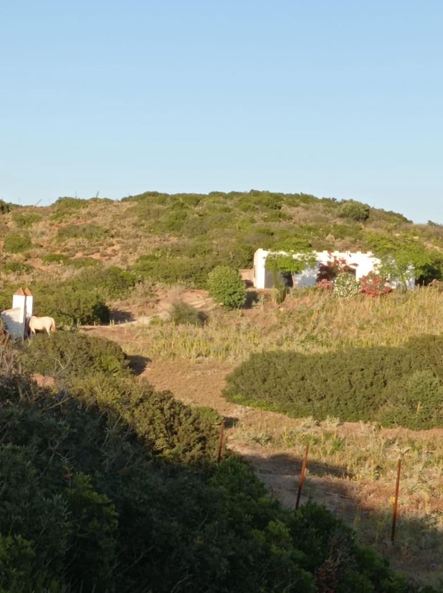 Byggetomt til salgs i Medina-Sidonia - € 154 000 (Ref: 8825232)