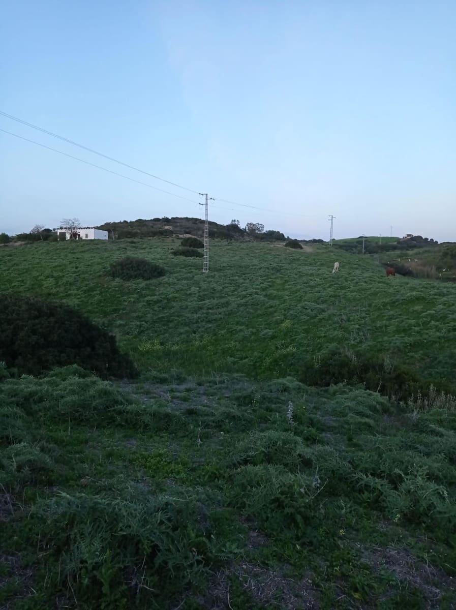 Byggetomt til salgs i Medina-Sidonia - € 154 000 (Ref: 8825232)